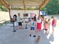 falunap_202600801_03